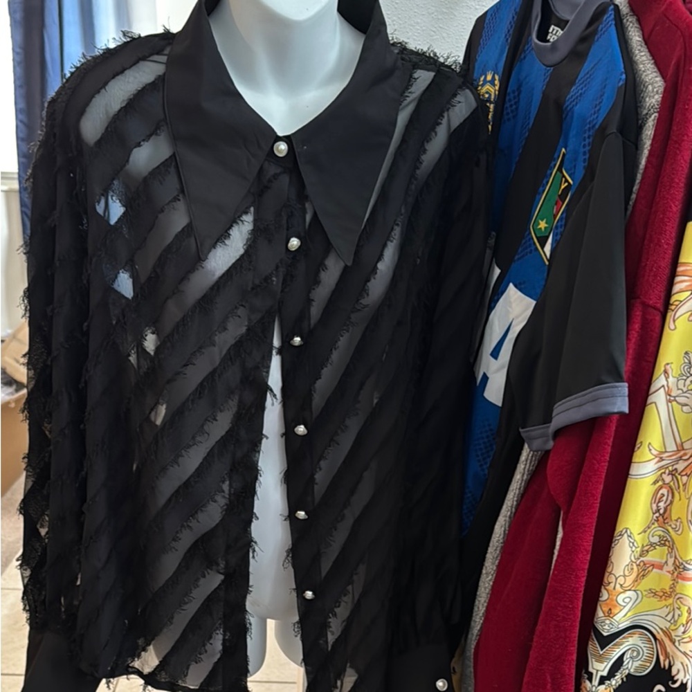 Elegant Black Sheer Shirt